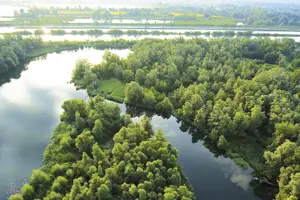 Luftbild verästelter Flussarme durch grüne Landschaft, Naturschutzgebiet Vorarlberg © Hanno Thurnher