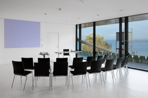 Zwei Reihen schwarze Stühle vor einem Vortragenden-Pult und Beamer in der weißen Seegalerie mit Seeblick