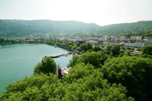 Luftaufnahme der Bregenzer Bucht mit sehr vielen grünen Laubbäumen © Gerhard Klocker